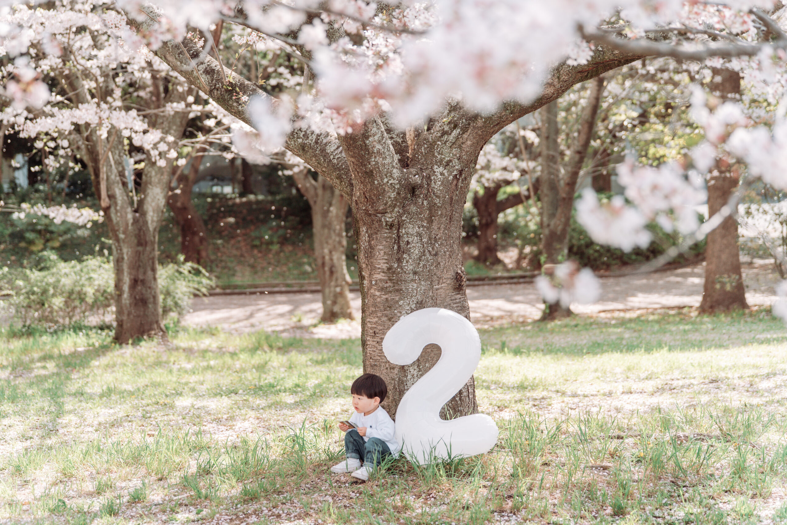 Y.A様の入園入学記念イメージ